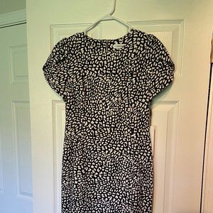 Calvin Klein classic sheath dress, size 6